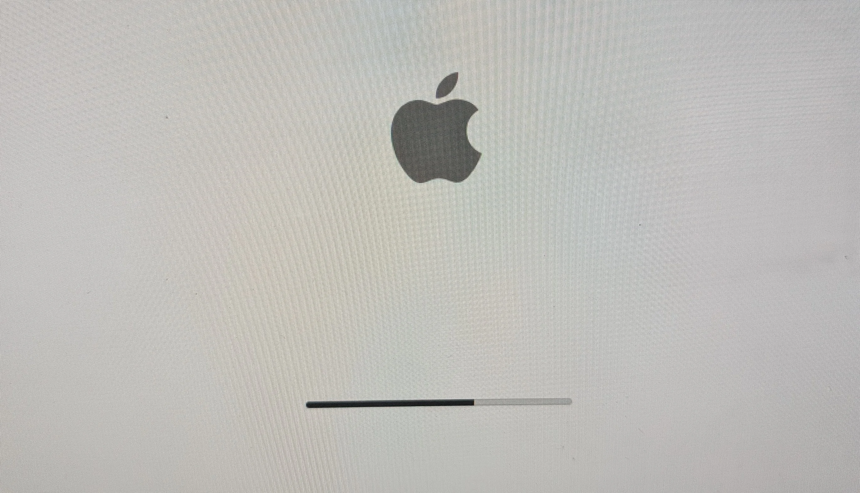 the Apple boot screen logo and loading bar being stuck