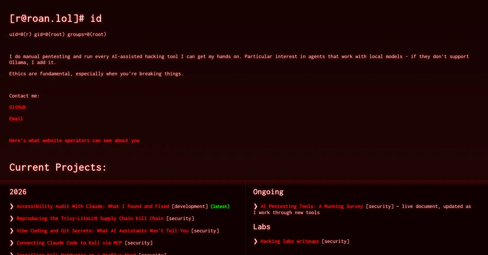 The site index page with default animations active, showing the CRT scanline effect
