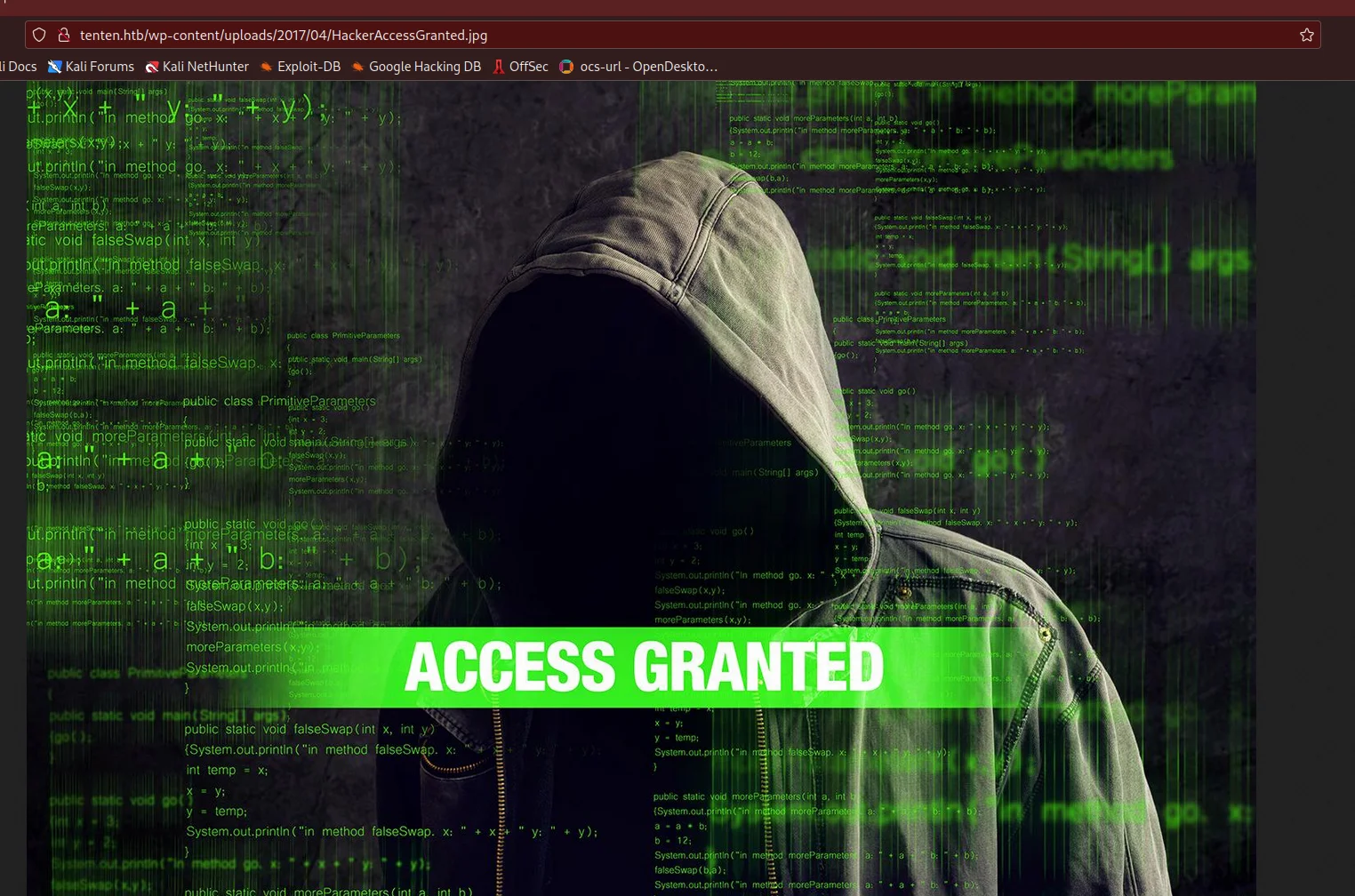 Browser displaying HackerAccessGranted.jpg, a hacker-themed stock image with ACCESS GRANTED text overlay