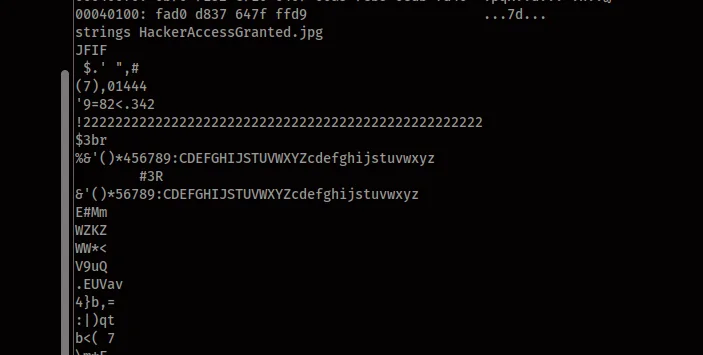 Running strings on HackerAccessGranted.jpg revealing suspicious embedded binary data among JFIF markers